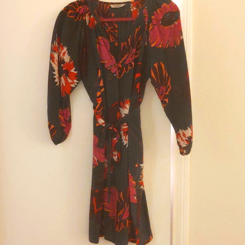 Tucker silk dress.